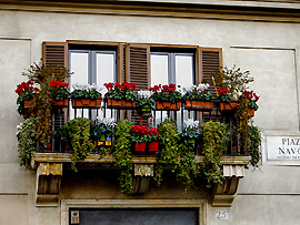 Fensterbank in Italien mit farbenfrohen Blumen