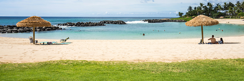 Regelungen für das Reisen mit Haustieren in die Republik Vanuatu